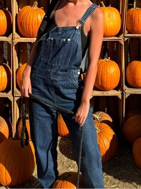 Sunday Best Dark Blue Denim Overalls